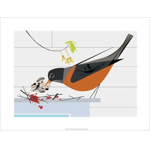 Place to Call Home (Robin)—Notecard Pack