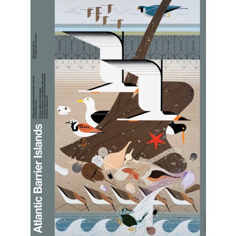 Atlantic Barrier Islands—National Park Poster