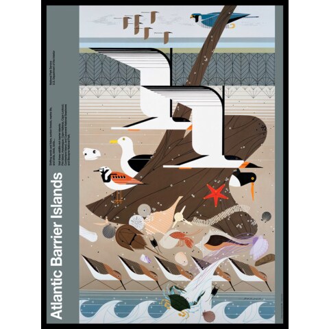 Atlantic Barrier Islands—National Park Poster—Framed