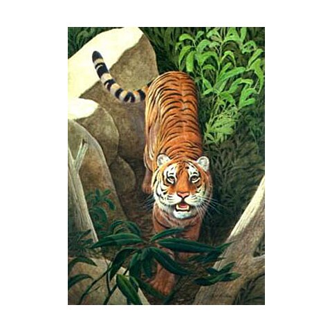 Bengal Tiger 1984
