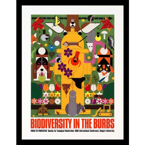 Biodiversity in the Burbs—Framed—Poster