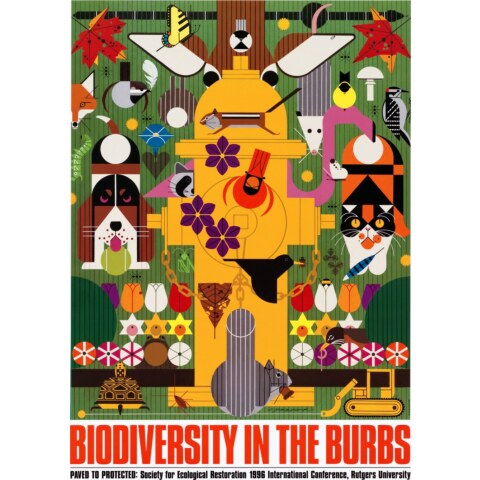 Biodiversity in the Burbs—Poster