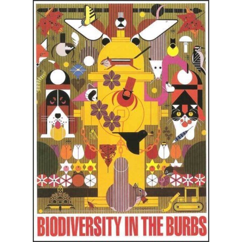 Biodiversity in the Burbs—Notecard Pack