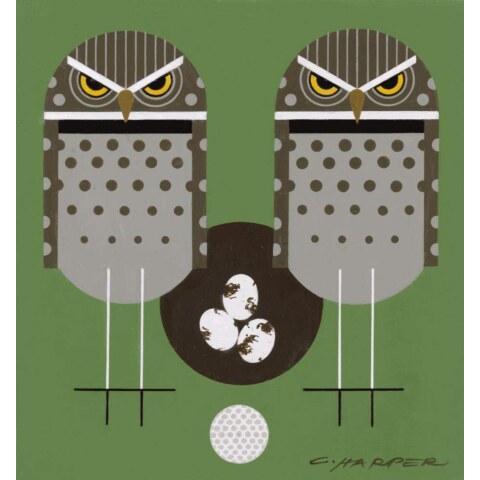 Birdie (Burrowing Owls at Golf Course)—Notecard Pack