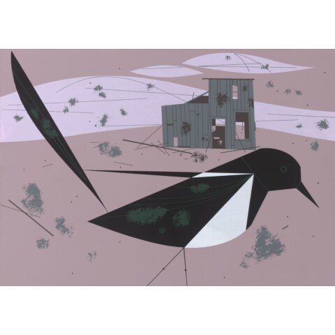 Black-Billed Magpie—Ford Times Silkscreen Print