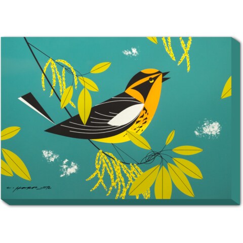 Blackburnian Warbler—Canvas Wall Mural