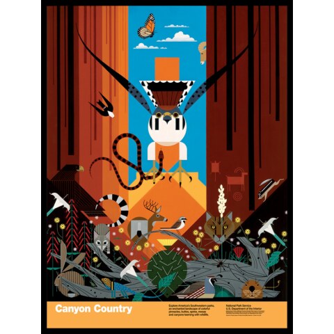 Canyon Country—National Park Poster—Framed