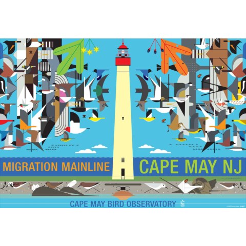 Cape May (Migration Mainline)—Poster