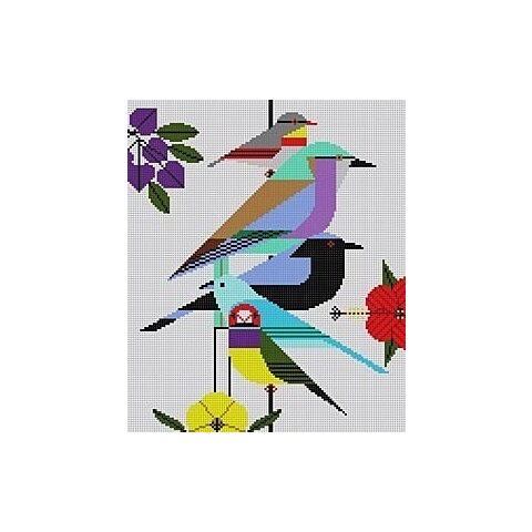 Rainforest Birds Needlepoint Pattern