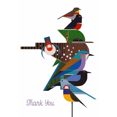 Rainforest Birds Boxed Thank-You Notes