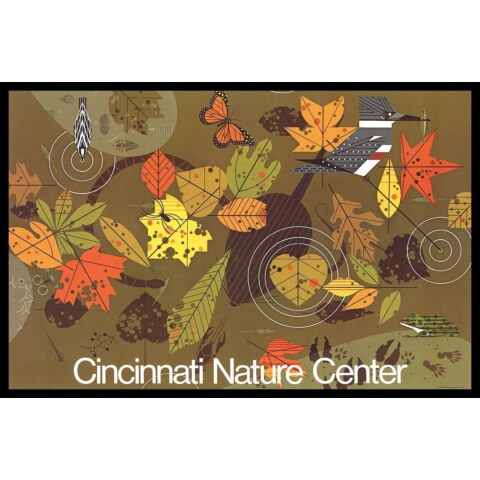 Cincinnati Nature Center: Fall—Framed—Poster