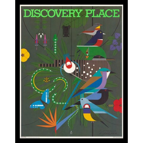 Discovery Place—Framed—Poster