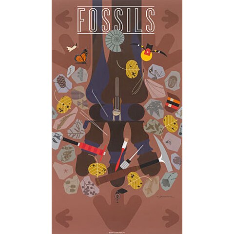 Fossils—Poster