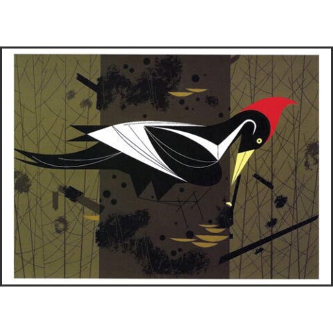 Ivory-billed Woodpecker—Notecard Pack