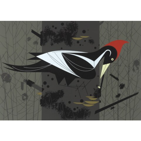 Ivory-Billed Woodpecker—Ford Times Silkscreen Print
