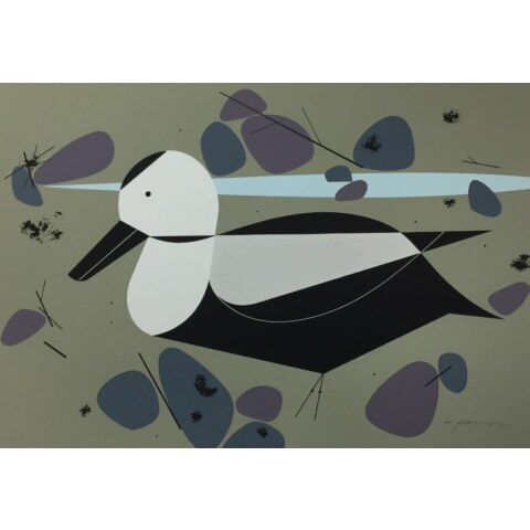 Labrador Duck—Ford Times Silkscreen Print
