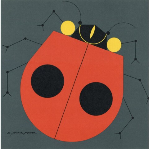 Ladybug—Lithograph