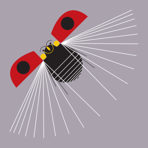 Ladybug, Fly Away Home!—Giclée
