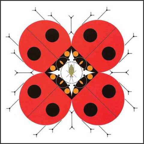 Last Aphid (Ladybugs)—Notecard Pack