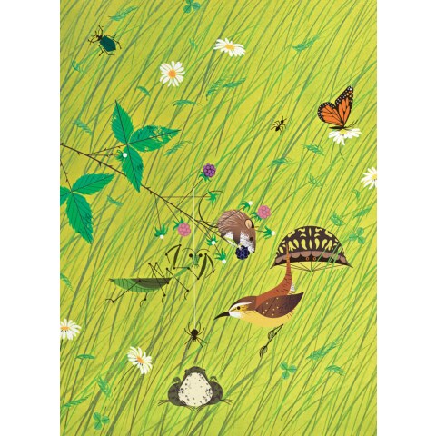 Meadow Medley—Lithograph
