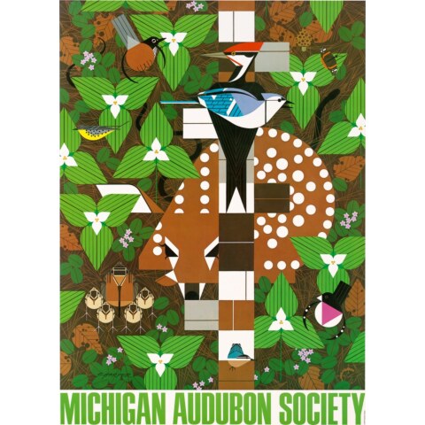 Michigan Audubon Society—Poster