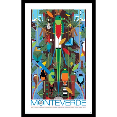Monteverde Cloud Forest, Costa Rica—Framed—Poster