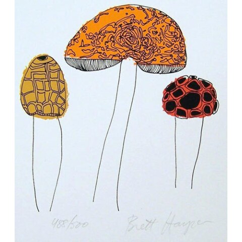 Mushrooms—Brett
