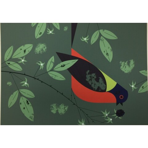 Painted Bunting—Ford Times Silkscreen Print