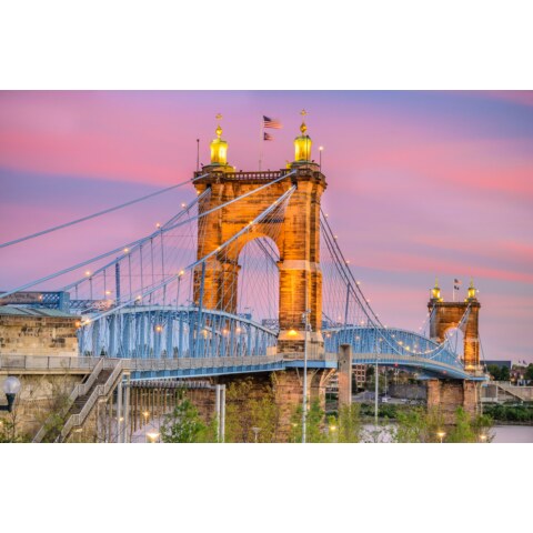 Pink Roebling Canvas