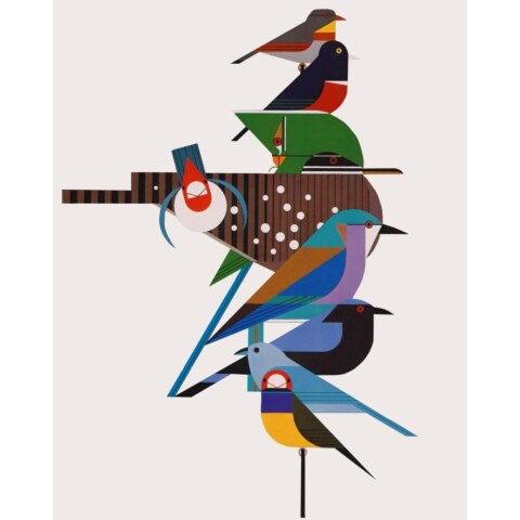 Rainforest Birds—Lithograph
