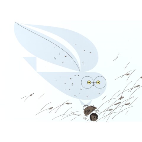 Snowy Owl—Ford Times Silkscreen Print