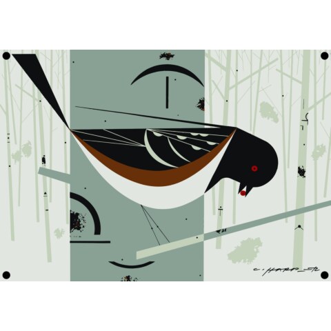Spotted Towhee on Aluminum (Large)