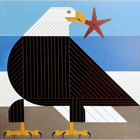 Star and Stripes—Lithograph
