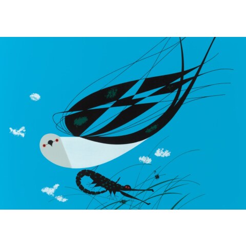 Swallow-Tailed Kite—Ford Times Silkscreen Print