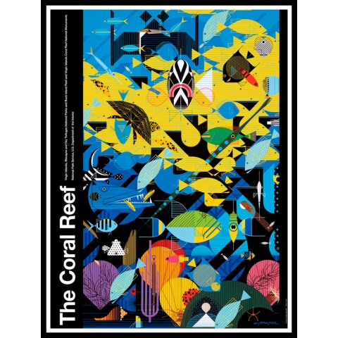 Coral Reef—National Park Poster—Framed