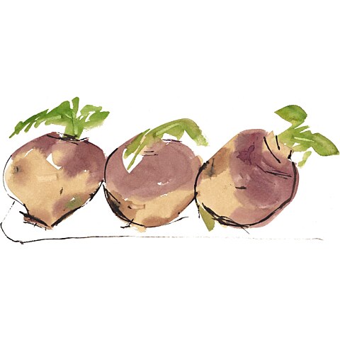 Turnips—Edie