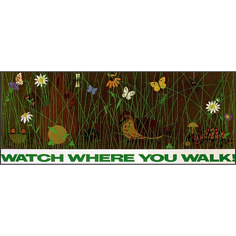 Watch Where You Walk—Edie
