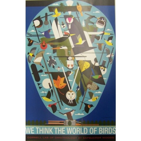 We Think the World of Birds—Poster