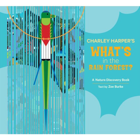 What’s in the Rain Forest? Discovery Book