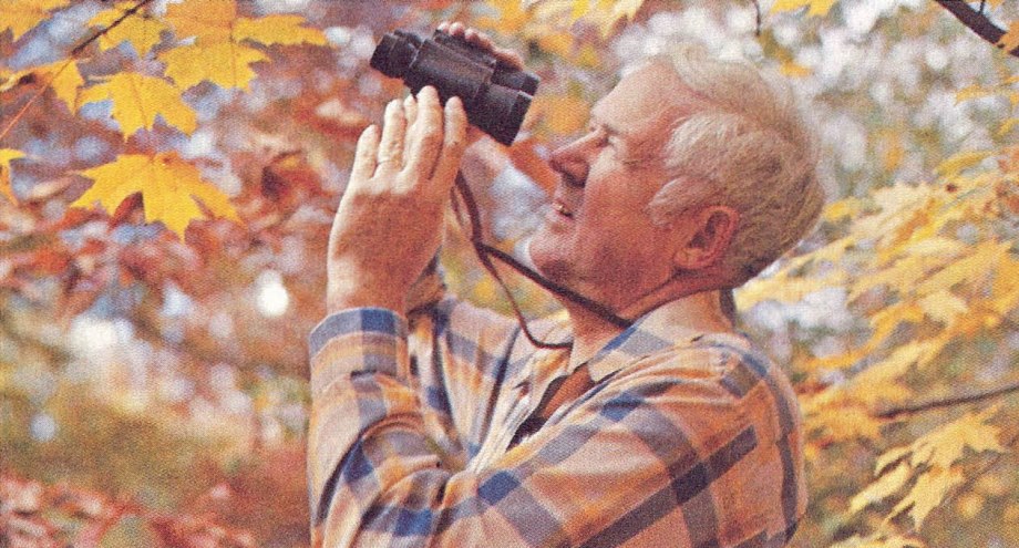 Charley Harper observing birds among the autumn foliage